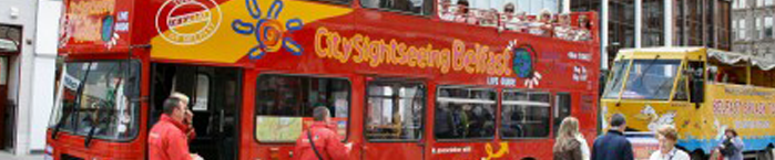 Mini-Coach Executive Travel & Tours