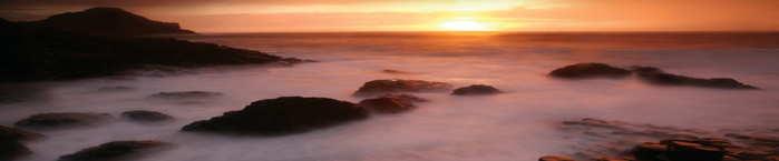 Mini-Coach Executive Travel & Tours