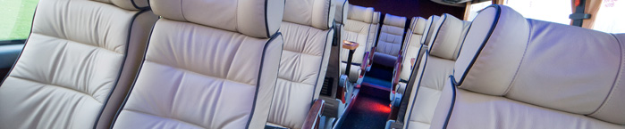 Mini-Coach Executive Travel & Tours