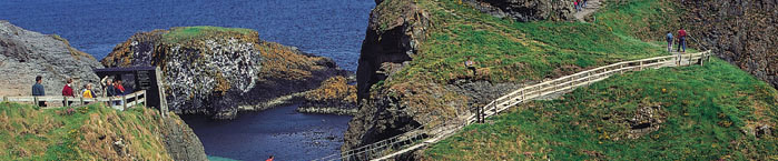 Mini-Coach Executive Travel & Tours