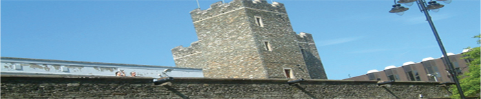 Mini-Coach Executive Travel & Tours