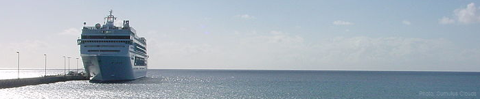 Mini-Coach Executive Travel & Tours